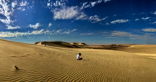 Item #104814286856978548301491190176370931497748737110869750891195548008530762006529 Media