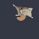 16440160091639093260999839093676813414031408607484244508685190474659193159681