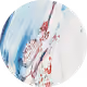 74722310207272792253363383603064473387629765944654708656309519243079980154881