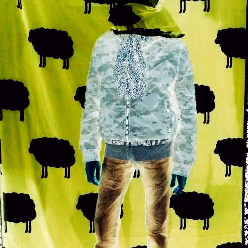 67538337158884965909963029268049168812229214851668207618524705757996689391617