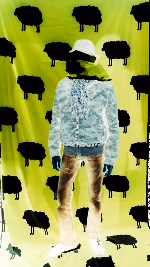 Item #67538337158884965909963029268049168812229214851668207618524705757996689391617 Media