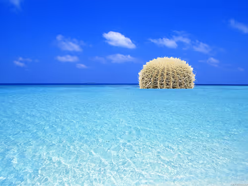 Item #112638842012957323397667355409978621827807315041052331183986003365856775503873 Media