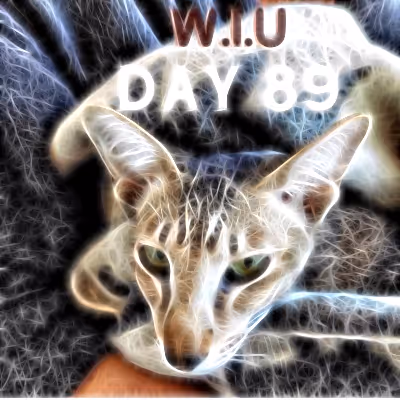 Item #39423832963151627607691891064013214374554670685362285359898062803065129402369 Media