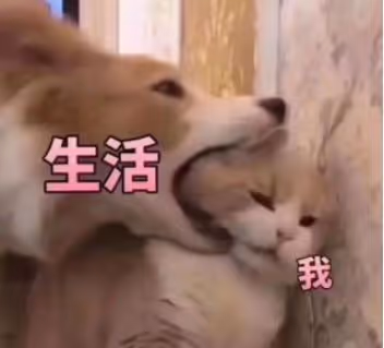 qqq82
