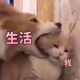 qqq82
