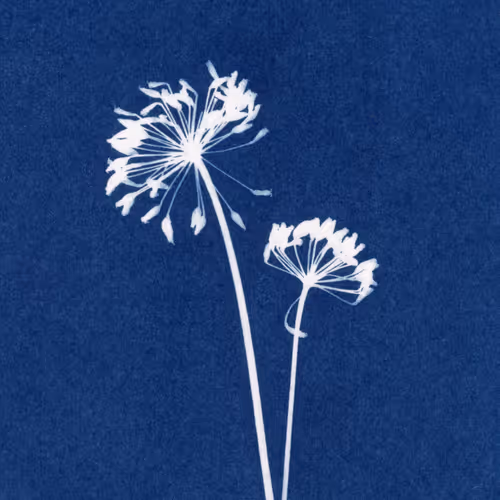 Item #13530031490449524679233719056114456174078376579414339842845211353245189931009 Media