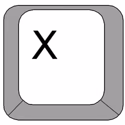 X