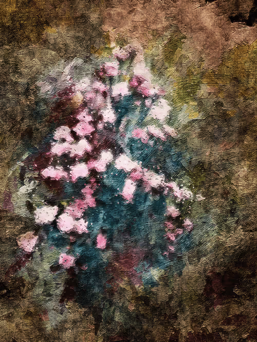 Item #69261177602478584146078213691104273677815526894191982293268527794670209597441 Media