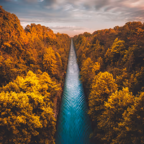 #13 Flowing Foliage