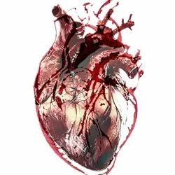 Human Heart Beat - Empty