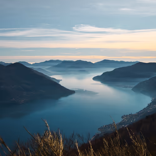 LAGO