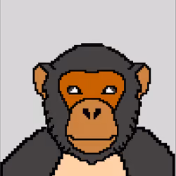 The Grey chimp of Pixel World 