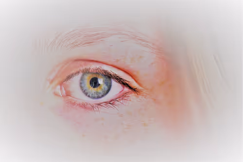 Item #38507108580424111560366489304859277599294097692867862259721325114097106157569 Media