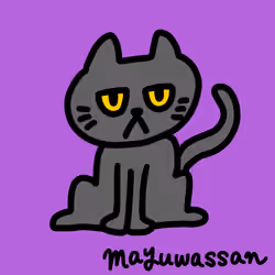 Black cat