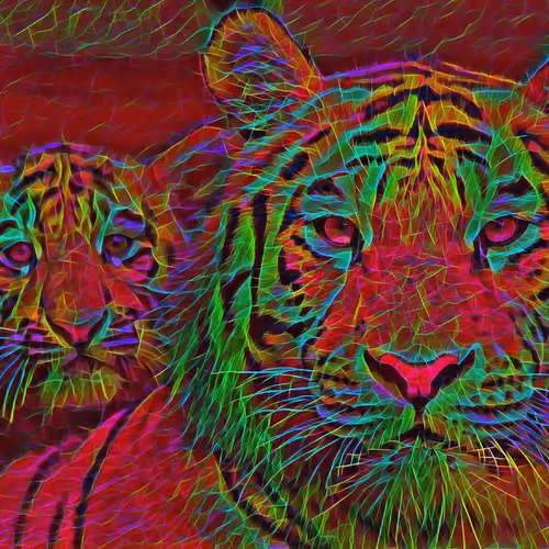 Tiger Collection 2021