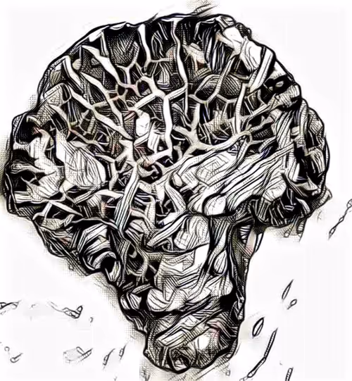 Item #80050559332347163335601971796963442430023304175303914027877321125272597037156 Media