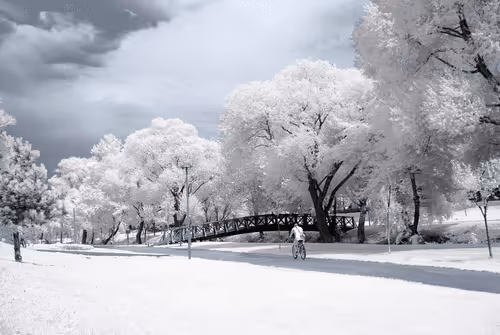 infrared of world
