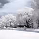 infrared of world