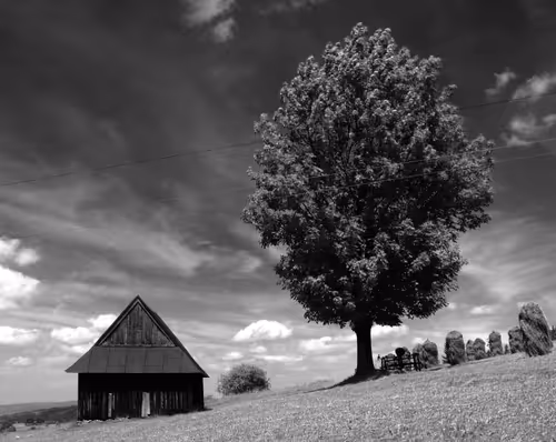 Item #83078762740139376938718327427233199779928808493802448471748731836247255810049 Media