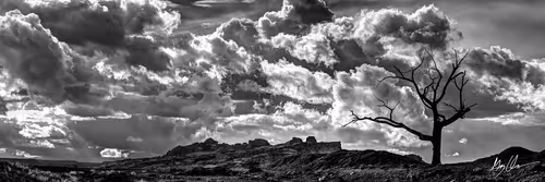 Item #47249959134198920907423674863097916784609466470325481649030705710738419220481 Media