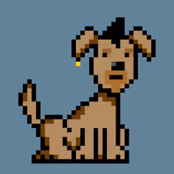 PunkDog #9798