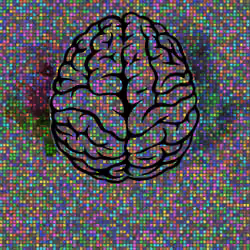 Brain#105