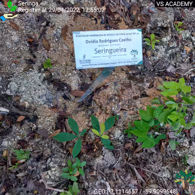 Item #8500196597889277390194123329501889087166328879864934763448348838009965117441 Media