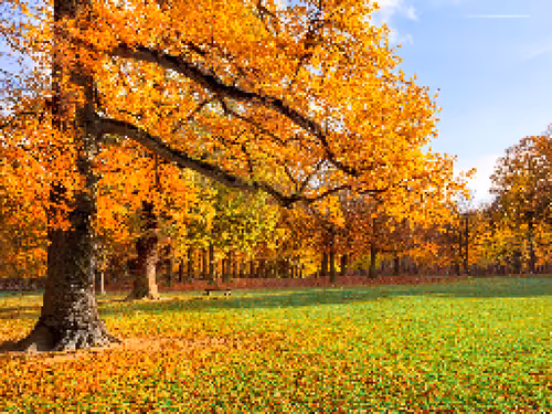 Item #20509465438609277551874808861244890758591647001332639405873676875915054809188 Media