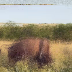 105089968166921690156624725616502706642431777719922472152070405793131035361281