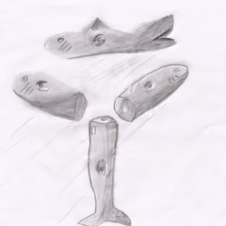 Fish triangle