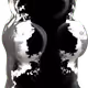 109766735389857737201130271460345388172202543564400872681538344075203492970497