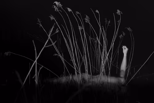 Item #650746001155939105340423805722977289149389340762719357359196255472819634177 Media