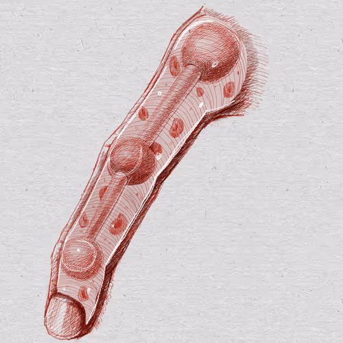 Item #27921743008571817687184646178926159877577224498393299984677393040544320454657 Media