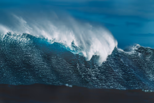 Item #78064220502355505726869985793984720926867023015257308531581829179093179957249 Media