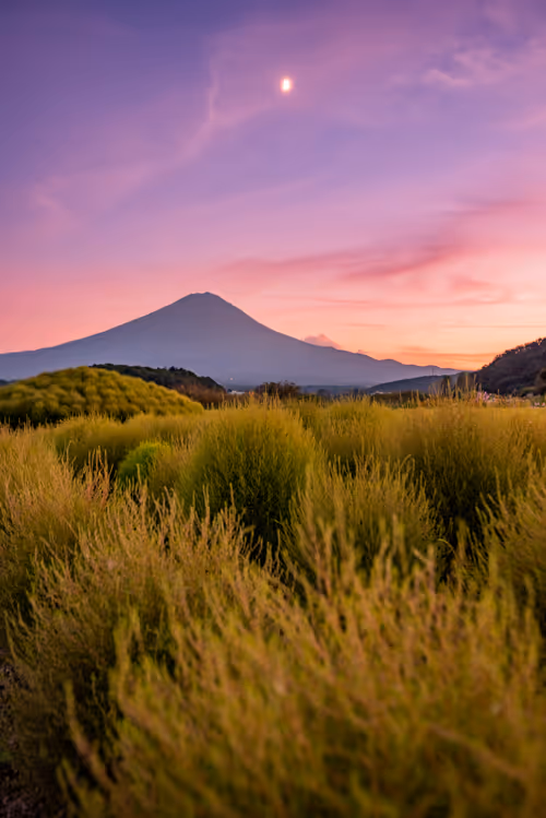 Item #108911492996146874115956011896780761878527851196280444702557873465490363383809 Media