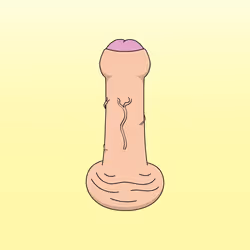 76497766031666671572306451420344327708726219717747131172542157579104903233537