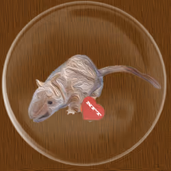 41776025324002017952572422073316458441069080831023694546850786940780059557889