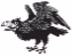 Raven