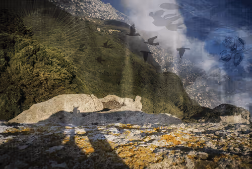 Item #1448819722811812157553440872911488319417736624981688873626406962903532961793 Media