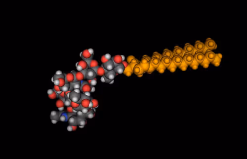 Item #70691296673147545588645983106347604860014430771481084920996057703870040637441 Media