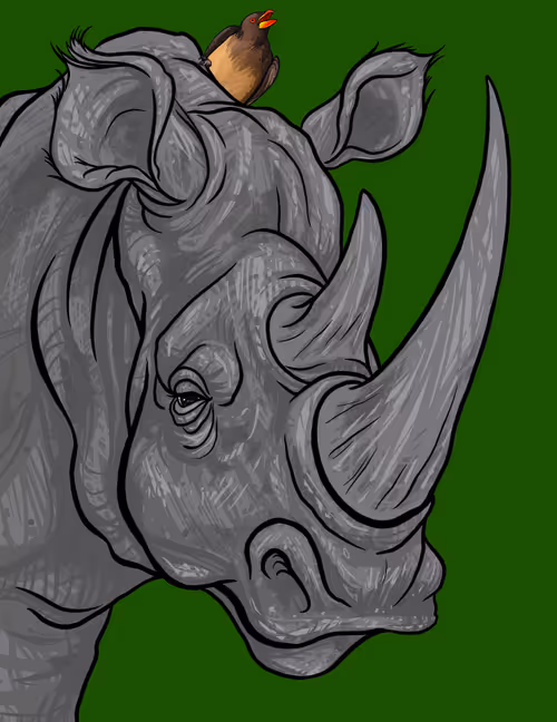 Item #60342236005163987948556802886235213316063293567500632170058184715848480980993 Media