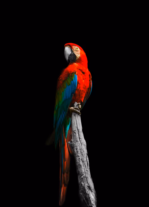 Item #95979719435638396747386199908027492606241793835179361379046606502709921054721 Media