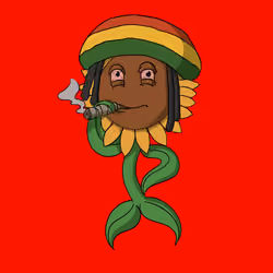 Sunflower #0009