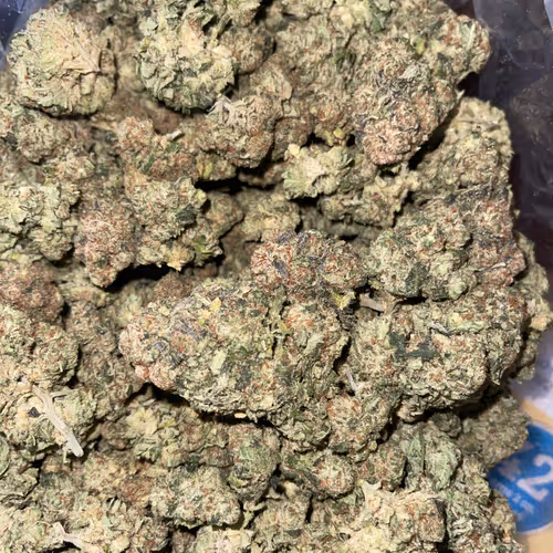 Hello4200024 Collection