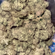 Hello4200024 Collection