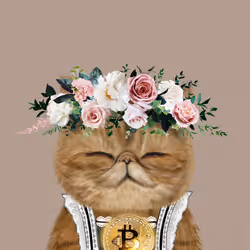 63588752515642770477067191287288803913526852218898202821012584604524991217665