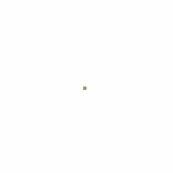 Pixel #250