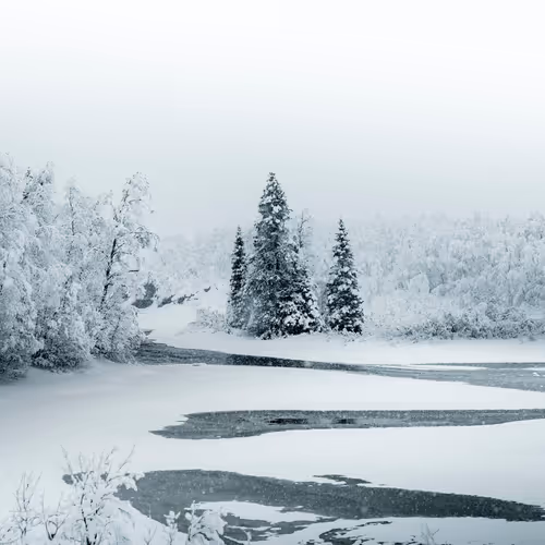 Frozensilence S3h2ODH2c6