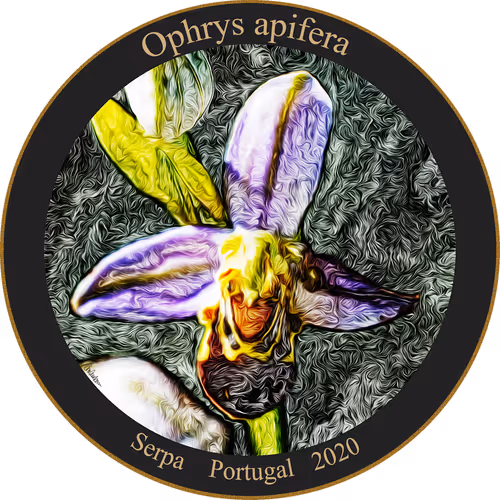 Item #83346383481971607988729477170446348570292642791419063456680174203378436407297 Media