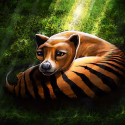 Tas Tiger by Seven